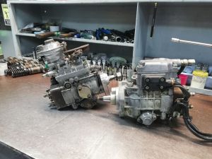 gallery (10)